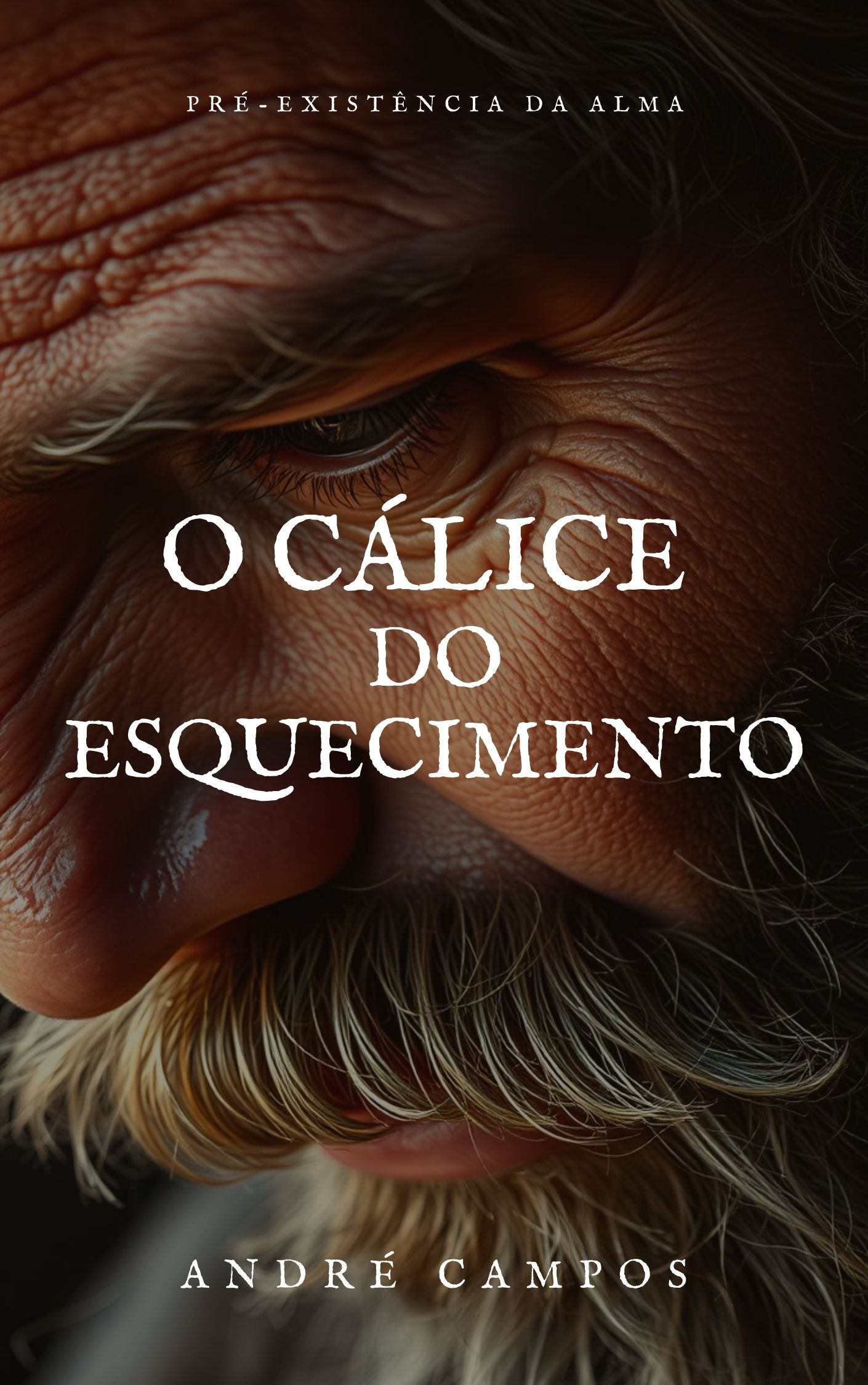 Capa de O Calice do Esquecimento - Pre Existencia